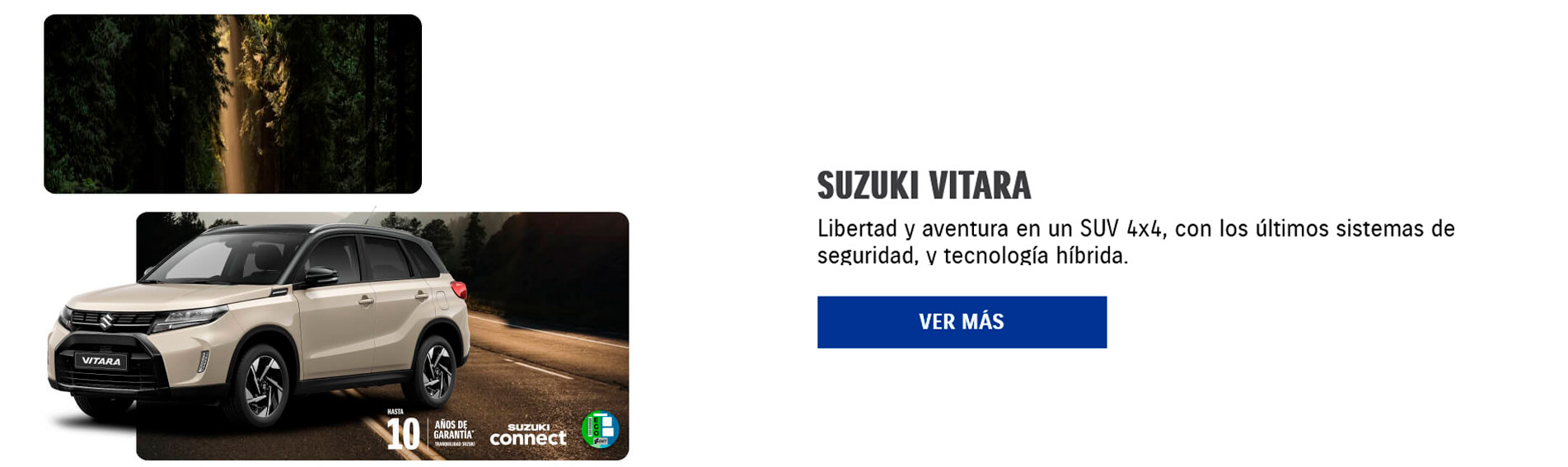 03_SUZUKI_ABRIL
